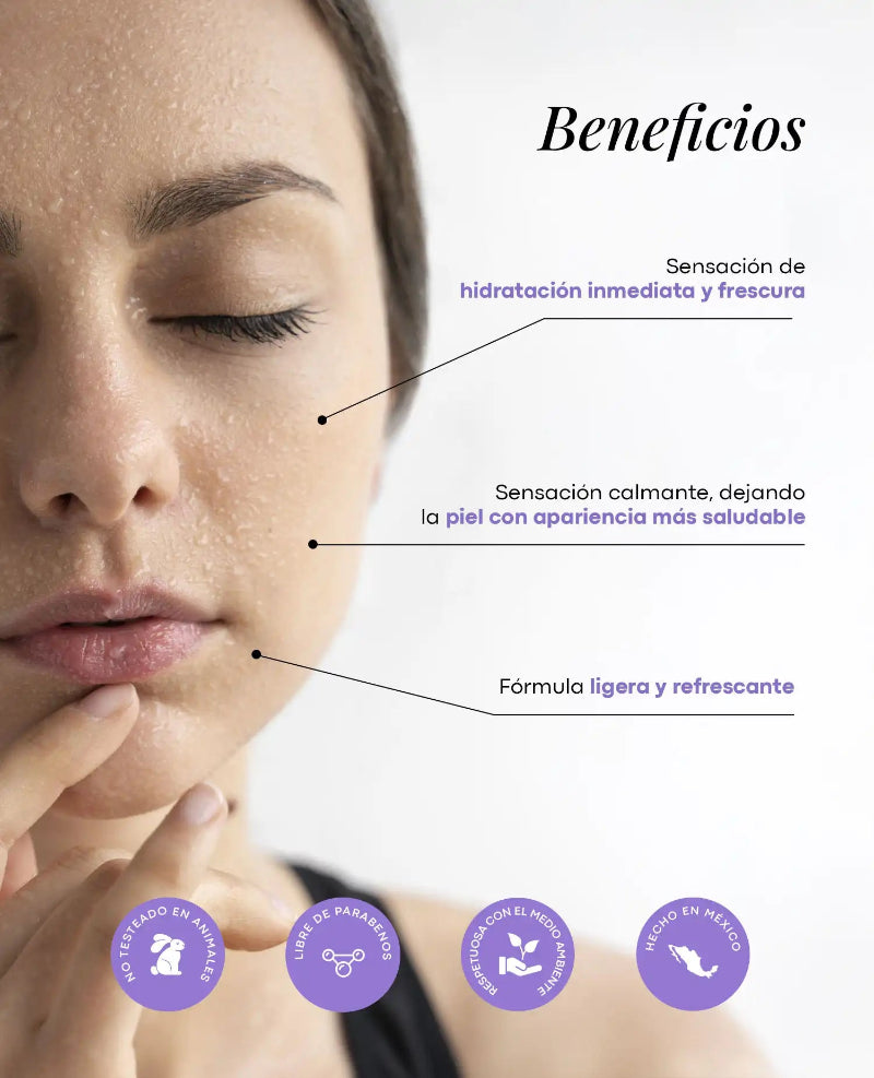SET SERENIDAD