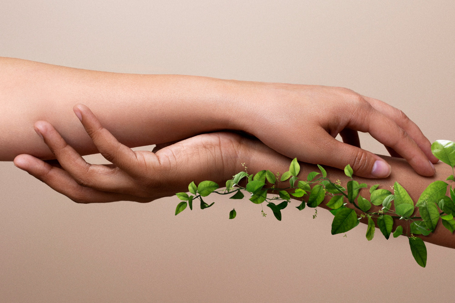 Desarrollo Sustentable: Belleza que Cuida tu Piel y el Planeta