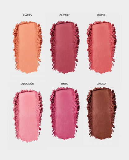 PROTECTOR SOLAR CON BLUSH (RUBOR) 8G